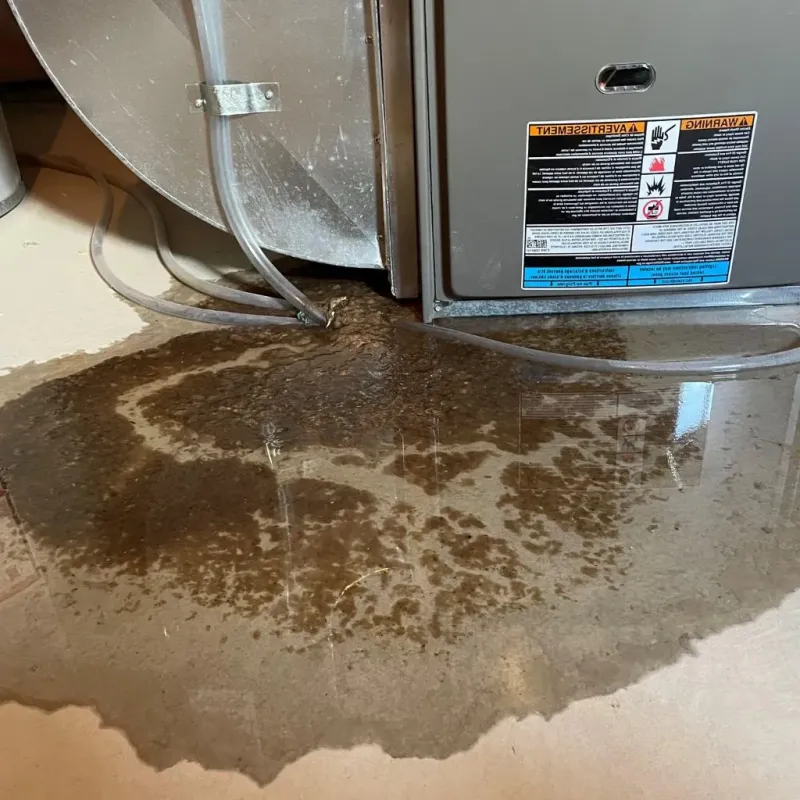 Pipe Burst and Leak Restoration in George County, MS
