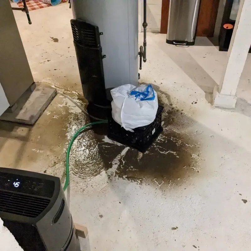 Sewage Backup Cleanup Service in George County, MS